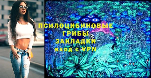 мяу мяу мука Алексеевка