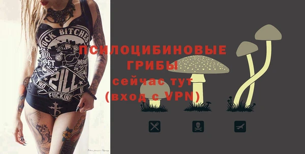 индика Алексин