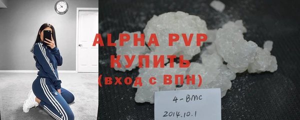 индика Алексин