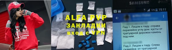 индика Алексин