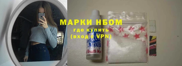 индика Алексин
