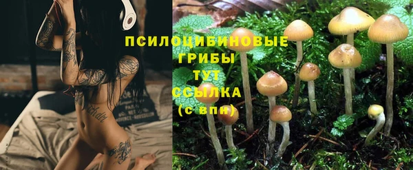 мескалин Железногорск-Илимский