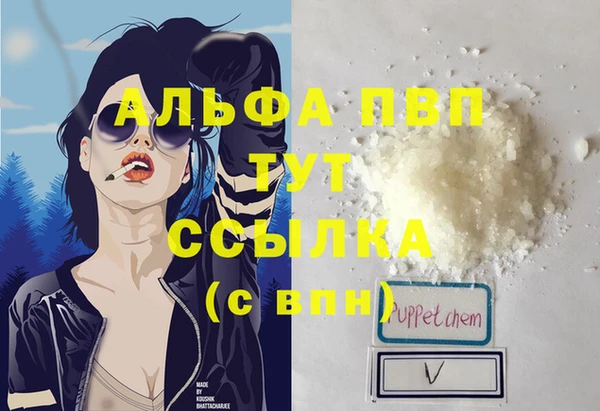 индика Алексин