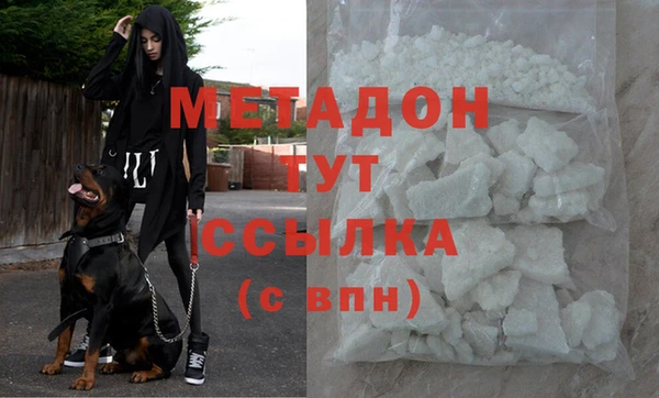 индика Алексин