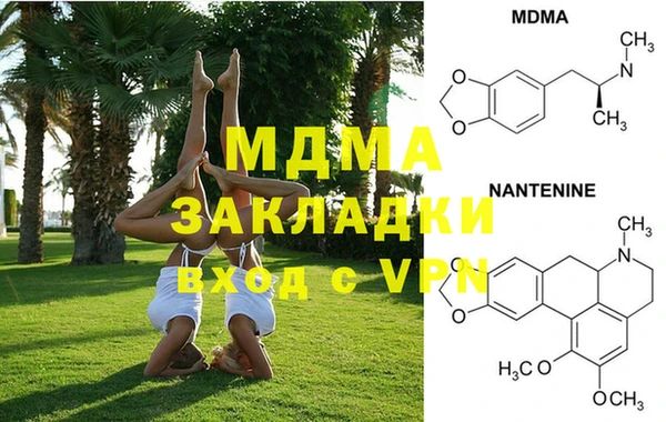 индика Алексин