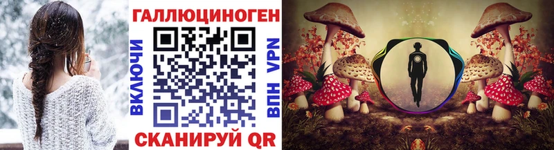 Псилоцибиновые грибы Psilocybine cubensis  Зуевка 