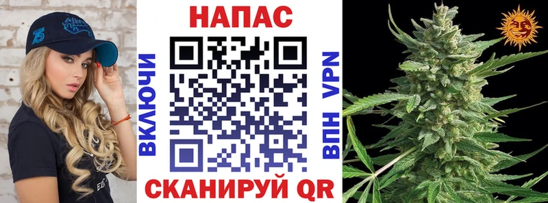 где можно купить OMG онион Бошки марихуана Amnesia Зуевка